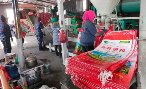 有机肥替代化肥 让初级农产品更“绿”