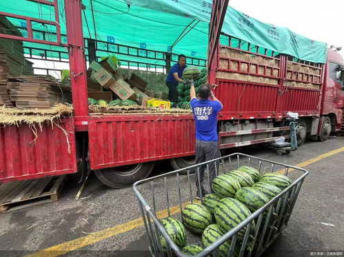 日销千吨冰为蔬菜“降温”，新发地市场力保农产品供应充足