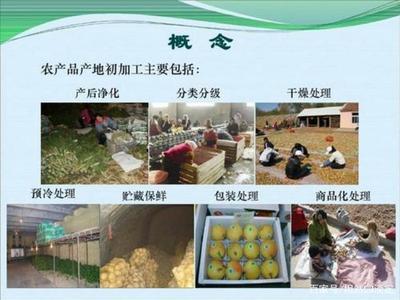 食用农产品、初级农产品与农产品初加工 概念解析与区别辨析