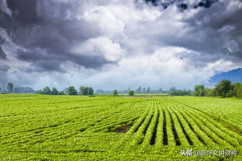 农产品和农业初级产品增值税优惠政策全解析，建议收藏！