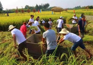 初级农产品之困 透视中国农业未来面临的六大挑战