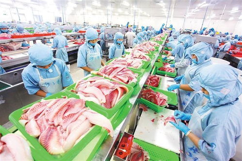 农产品深加工时代 天然植物萃取技术重塑农业价值链