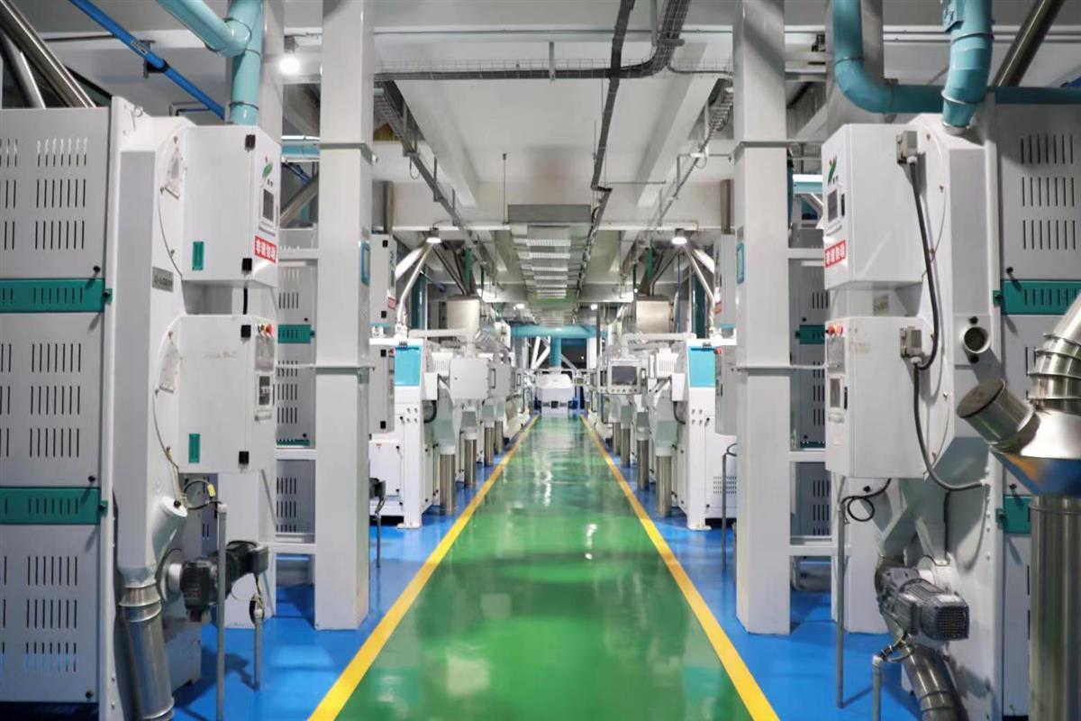 变废为宝 留抵退税助力东西湖打造“水稻循环经济”产业园，推动初级农产品转型升级