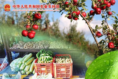 10月21日农产品批发价格200指数与昨日基本持平，初级农产品市场走势平稳